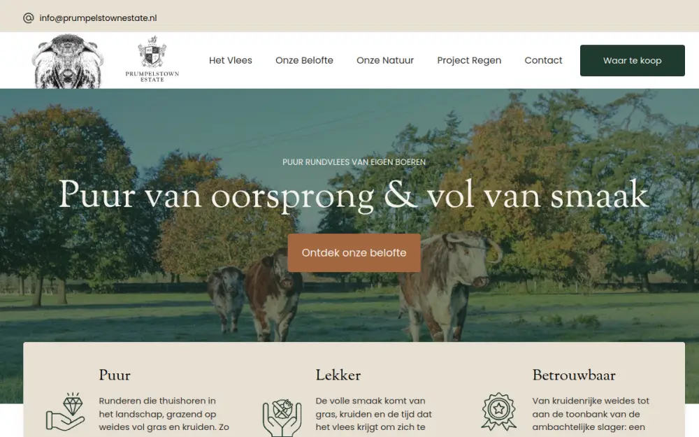 Website van Prumpelstown Estate